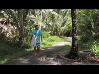 swop surfboards mini simmons