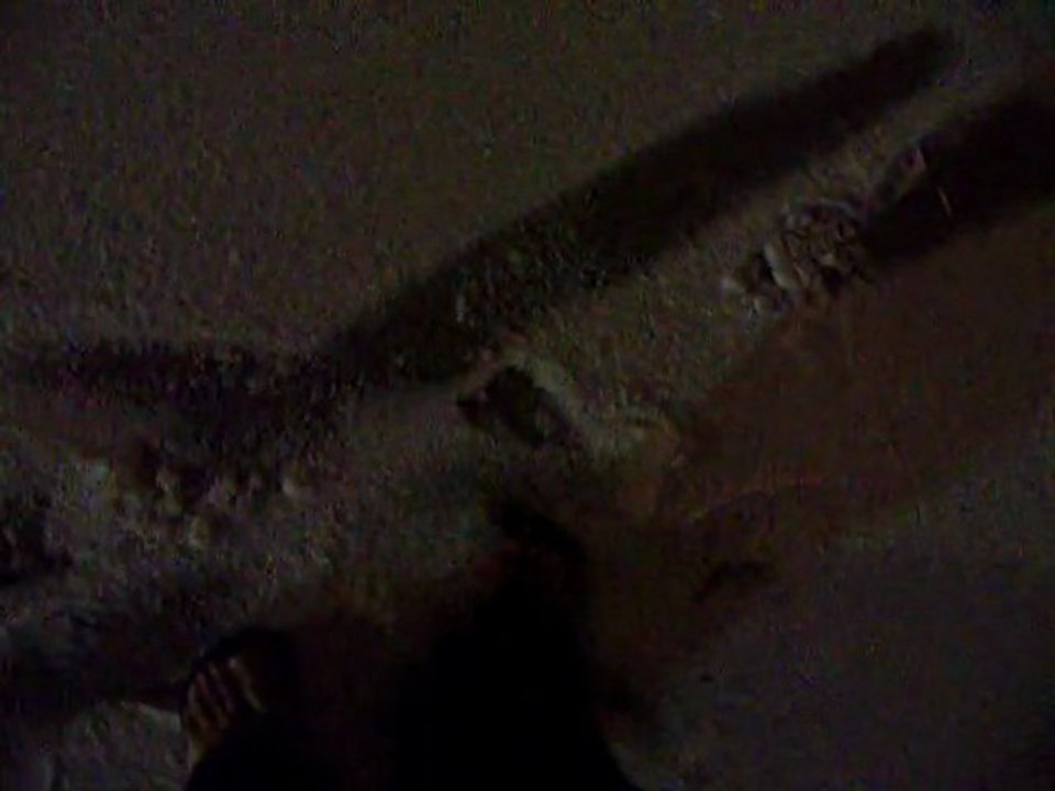 02-07-2011 SNOW!!!!
