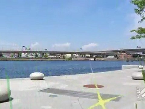 Eli Reed - Mtn Dew Team skater