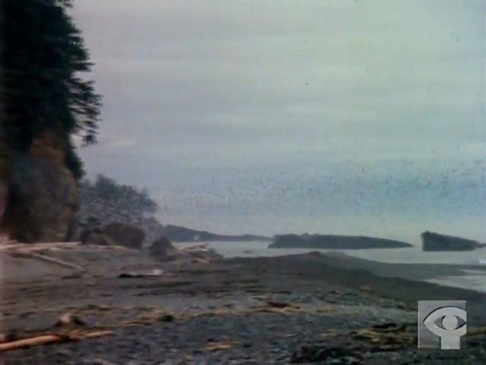 A DAY IN PACIFIC RIM