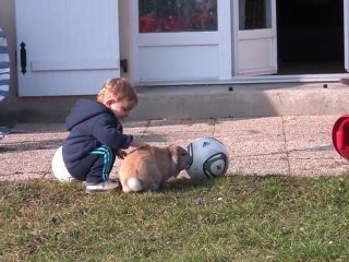 florian 16 mois et biscuit