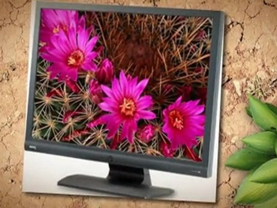 BenQ LCD Monitor