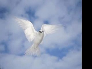 Ahmet Bin Ebü'l Havari (r.a)-Müslüman Olmak İçin