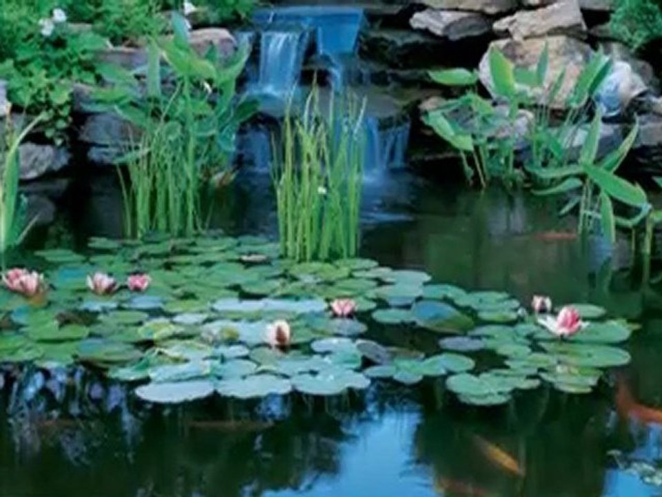 Pumps and pump equipment UK - Dab Pumps Ltd