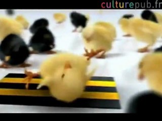 Les poussins Hip Hop / Beeline