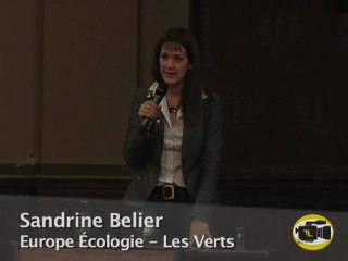11-Europe écologie-Les verts