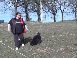 dandy cavage entrainement