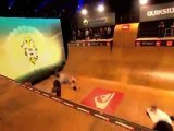 Quiksilver Tony Hawk and friends European Skateboarding Tour