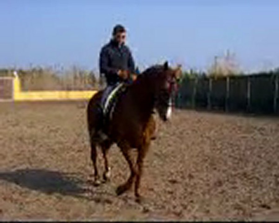 Azafran 2