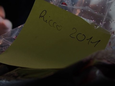 Un friday sport chargé comme une mule