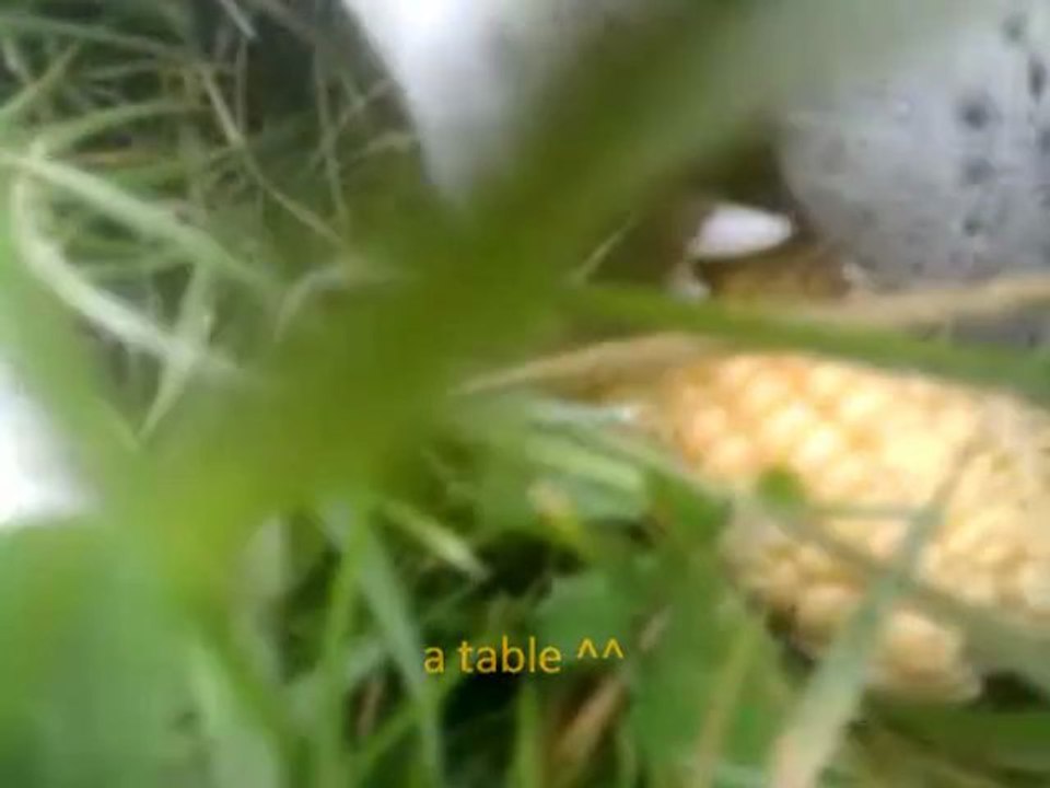 la vie de canelle =)