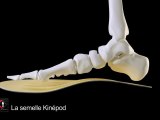 Orthèse plantaire dynamique et posturale, semelle orthopédique active, semelle posturale, semelle amortissante, semelle anti-choc