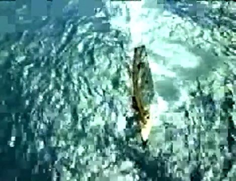 Windsurfing Maui, Hawaii