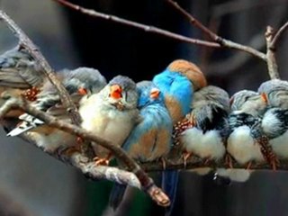 Seni sevdiğim için sana ihtiyacım var