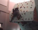 Boulder competition in Stone Monkey Gym - Florence