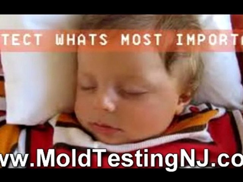 "New Jersey Mold Inspections"