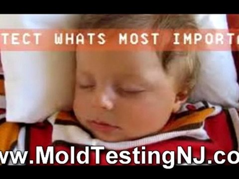 New Jersey Mold Inspections