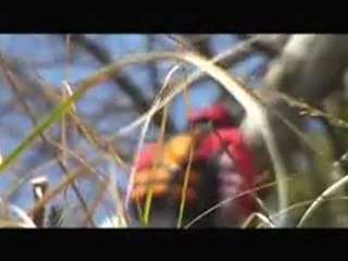 Springbreak - Kayaking in Piemont and Tessin