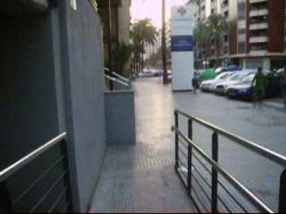 caida de rabbit