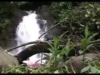 Dan Caldwell 2008 kayaking
