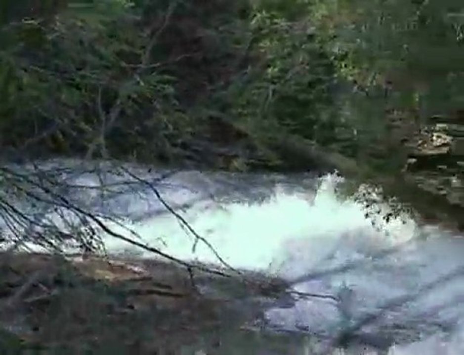 Stinging Fork Falls descent