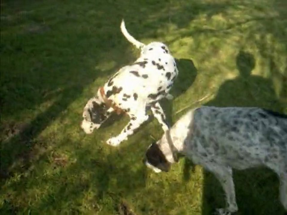 Titeuf & Tommy
