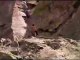 free solo rock climb in eldorado canyon