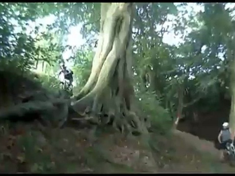 Where Singletrack Test Bikes