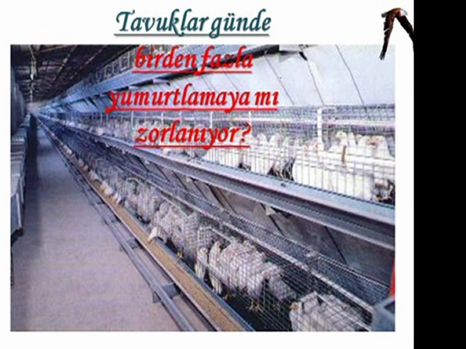 FOREVER NEDEN BESİN TAMAMLAYICILARA İHTİYACIMIZ VAR