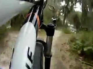 Loyce E. Harpe - Baby Beast ReRuns