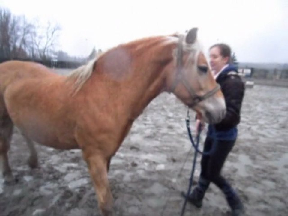Amadeus & Etincelle