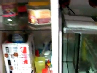 Tanganyika Serüveni 3 Sinemalarda