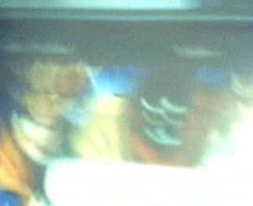 tenkaichi 2 new video