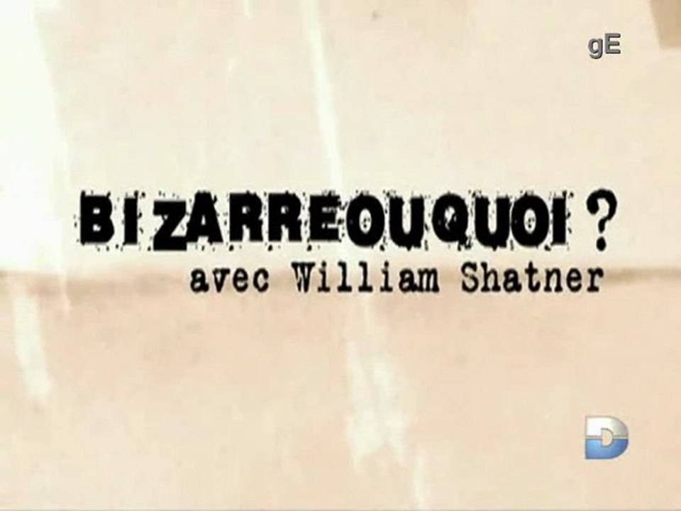 1_3 bizarre ou quoi (8)