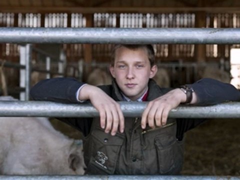 Salon de l'agriculture 2011 - préparation des animaux