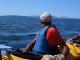 Sea Kayaking with Killer Whales