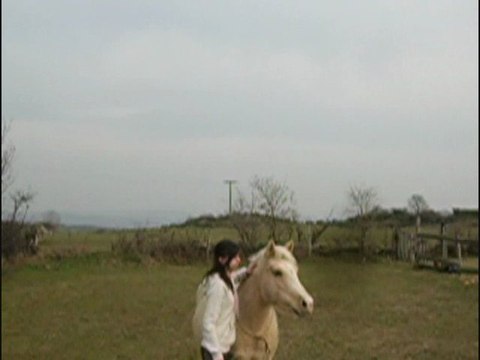 Travail en cordelette + monté (12/02)