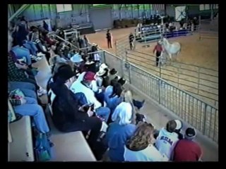 Horse Whispering Training