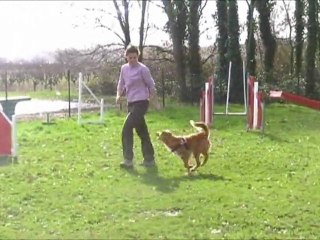 2011-02-12 Magic passerelle