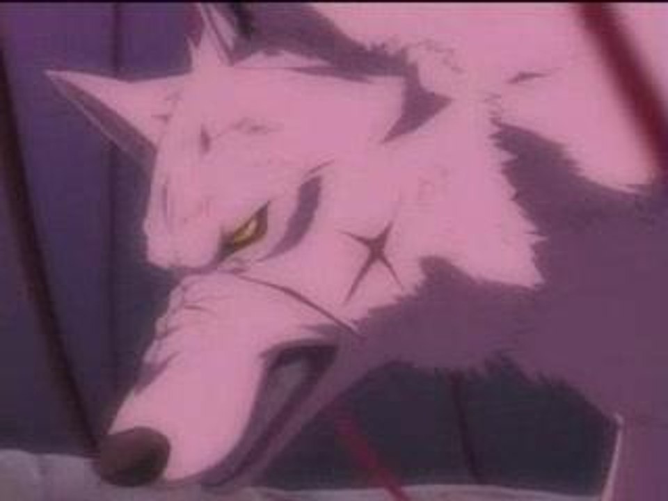 AMV - Wolf's Rain - Burn