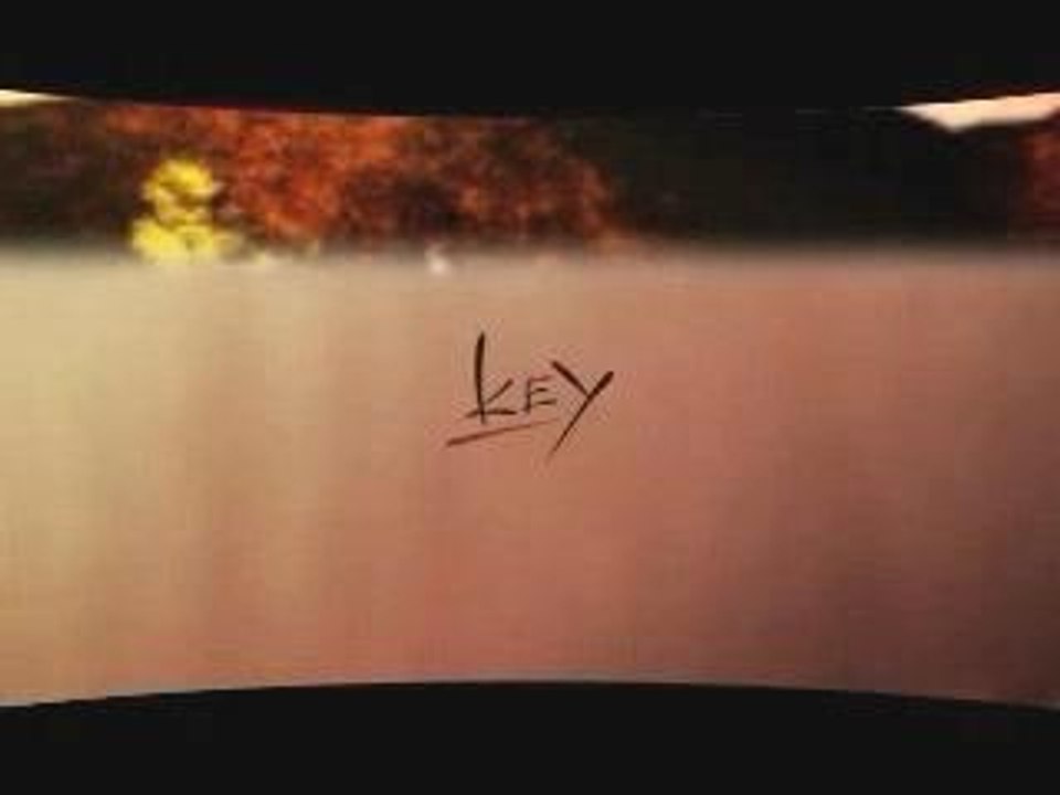 AIR mirage apoptosis