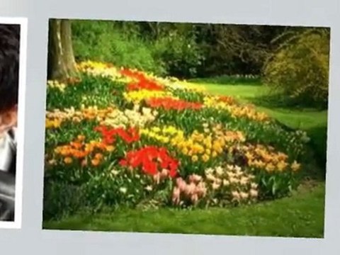 Ahmet Selçuk İlkan Baha Sen Uyurken Sabahçı