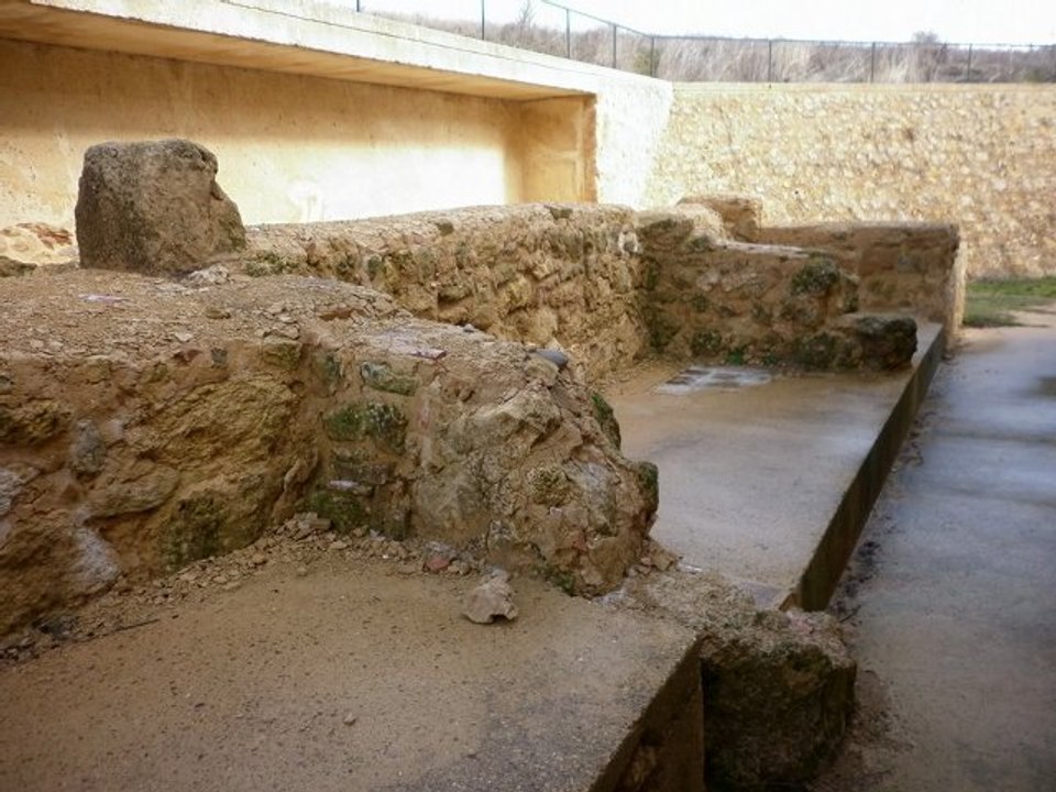 botones de muestra