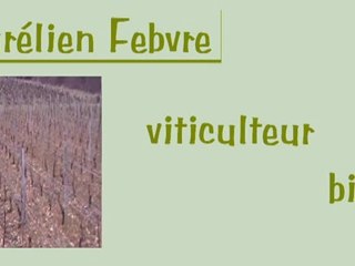 Viticulture bio en Bourgogne-Auxois - Aurélien Febvre (1)