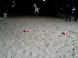 Hispane et Moi aux Obstacles