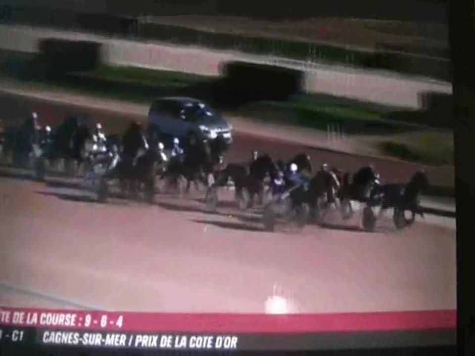 PADDY DE CHENU 2e Quinté+ Cagnes