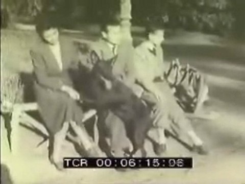 Archivio Storico Istituto Luce - video