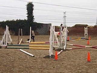 Concours FEVRIER 011