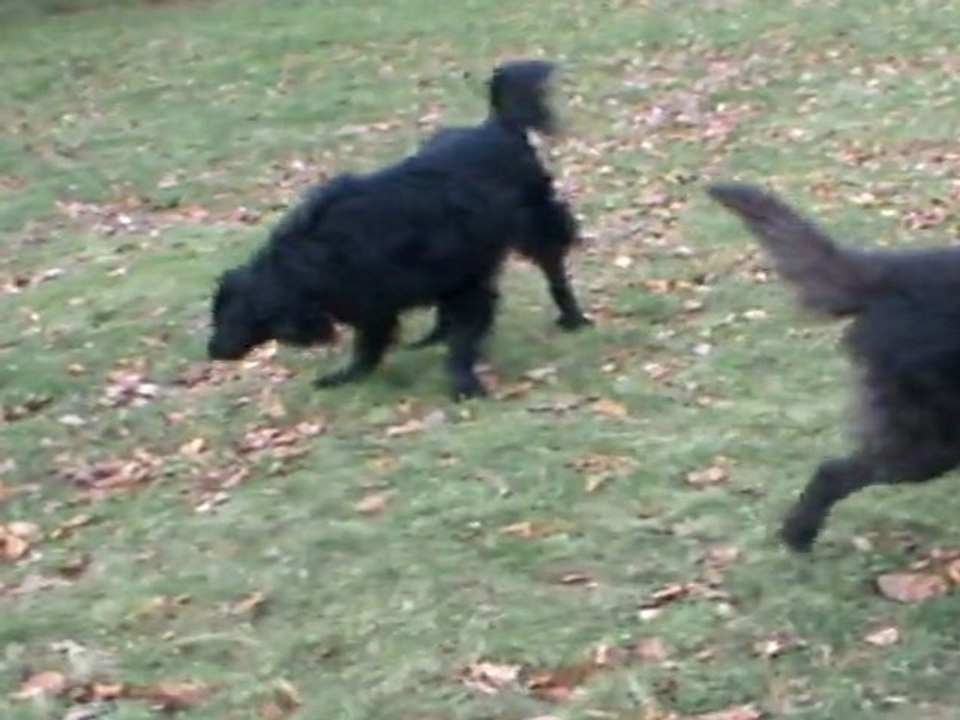 Rencontre avec Alphi et Athys