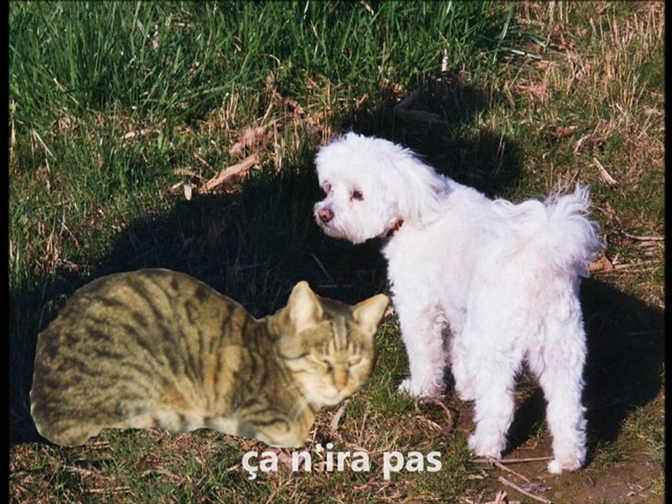 Roman photo St Valentin 2011